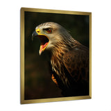 Portrait Of Eagle Nature Photography - Eagle Wall Art Prints