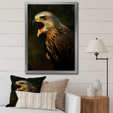 Portrait Of Eagle Nature Photography - Eagle Wall Art Prints