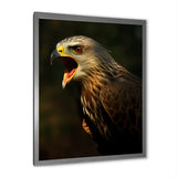 Portrait Of Eagle Nature Photography - Eagle Wall Art Prints