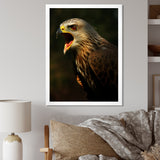 Portrait Of Eagle Nature Photography - Eagle Wall Art Prints