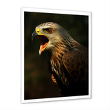 Portrait Of Eagle Nature Photography - Eagle Wall Art Prints