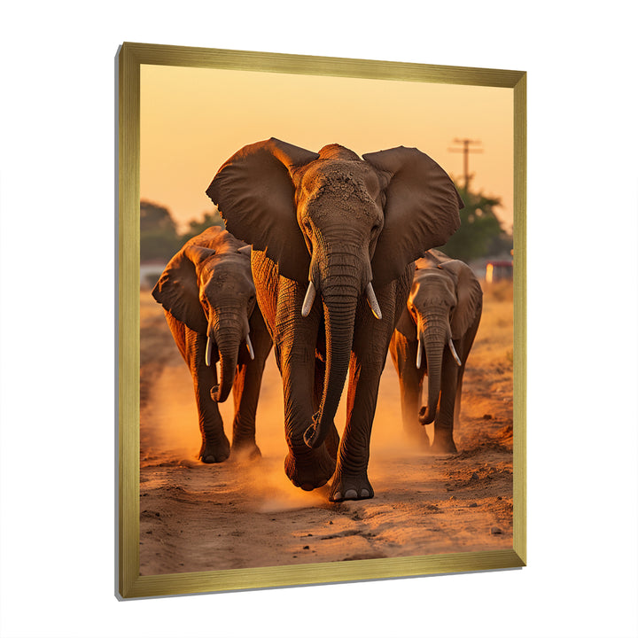 Glorious Elephant In The Wild At Sunset Wildlife - Black Elephant Wall Art