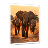 Glorious Elephant In The Wild At Sunset Wildlife - Black Elephant Wall Art