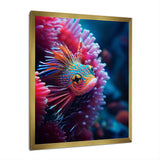 Tropical Red Deep Sea Fish Nature Photography - Fish Home Decor Art