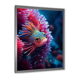 Tropical Red Deep Sea Fish Nature Photography - Fish Home Decor Art