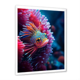 Tropical Red Deep Sea Fish Nature Photography - Fish Home Decor Art