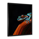 Portrait Of Pinstriped Tree Frog Wildlife - Frog Home Decor Art
