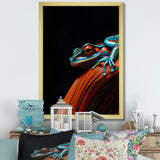 Portrait Of Pinstriped Tree Frog Wildlife - Frog Home Decor Art