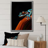 Portrait Of Pinstriped Tree Frog Wildlife - Frog Home Decor Art