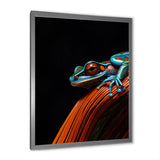 Portrait Of Pinstriped Tree Frog Wildlife - Frog Home Decor Art