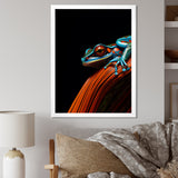 Portrait Of Pinstriped Tree Frog Wildlife - Frog Home Decor Art