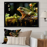 Portrait Of Green Frog Nature Photography - Frog Bedroom Wall Art