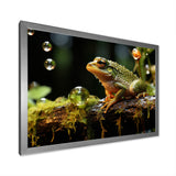 Portrait Of Green Frog Nature Photography - Frog Bedroom Wall Art