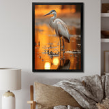 Portrait Of White Heron Wildlife Photography - Heron Wall Decor