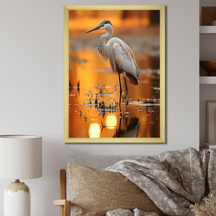Portrait Of White Heron Wildlife Photography - Heron Wall Decor