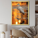 Portrait Of White Heron Wildlife Photography - Heron Wall Decor