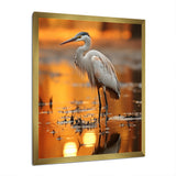 Portrait Of White Heron Wildlife Photography - Heron Wall Decor