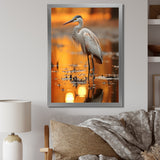 Portrait Of White Heron Wildlife Photography - Heron Wall Decor