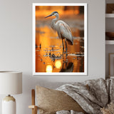 Portrait Of White Heron Wildlife Photography - Heron Wall Decor
