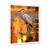 Portrait Of White Heron Wildlife Photography - Heron Wall Decor