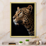 Stunning Portrait Of Leopard Wildlife - Leopard Living Room Wall Art