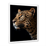 Stunning Portrait Of Leopard Wildlife - Leopard Living Room Wall Art