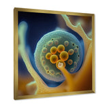 Macro Photography Of Marine Cells - Marine Animals Bedroom Wall Art