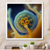 Macro Photography Of Marine Cells - Marine Animals Bedroom Wall Art