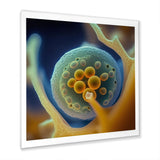 Macro Photography Of Marine Cells - Marine Animals Bedroom Wall Art