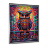 Purple Yellow Colorful Owl gaze - Purple Owl Wall Art