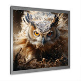 Portrait Of Brown Owl Wildlife Photography - White Owl Wall Art