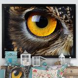 Close-up Of Eye Of Brown Owl Wildlife Photography - Owl Large Canvas Wall Art