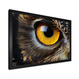 Close-up Of Eye Of Brown Owl Wildlife Photography - Owl Large Canvas Wall Art