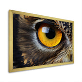 Close-up Of Eye Of Brown Owl Wildlife Photography - Owl Large Canvas Wall Art