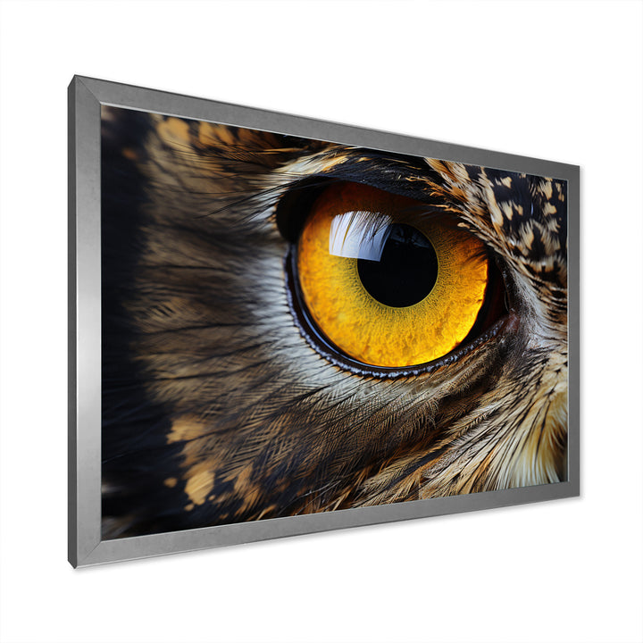 Close-up Of Eye Of Brown Owl Wildlife Photography - Owl Large Canvas Wall Art