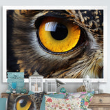 Close-up Of Eye Of Brown Owl Wildlife Photography - Owl Large Canvas Wall Art