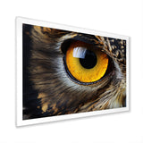 Close-up Of Eye Of Brown Owl Wildlife Photography - Owl Large Canvas Wall Art