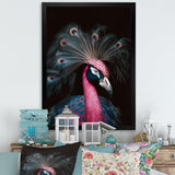Portrait Of Pink Peacock - Peacock Wall Decor