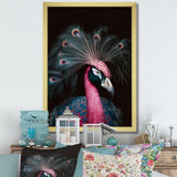 Portrait Of Pink Peacock - Peacock Wall Decor