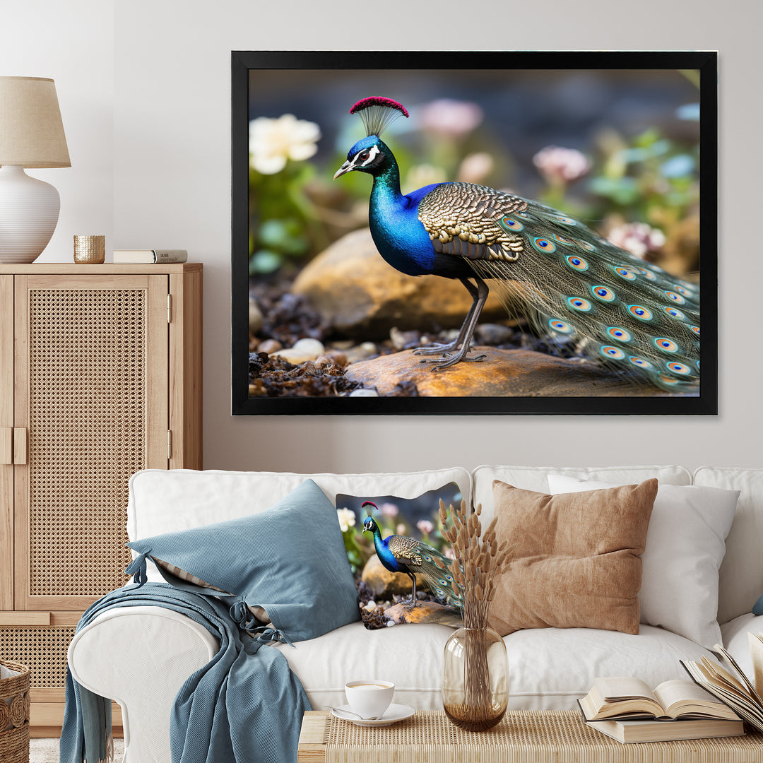 Photography Portrait Of Blue Peacock - Peacock Framed Canvas Art