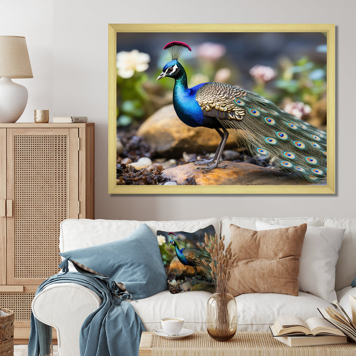 Photography Portrait Of Blue Peacock - Peacock Framed Canvas Art