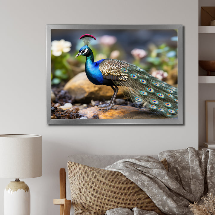 Photography Portrait Of Blue Peacock - Peacock Framed Canvas Art