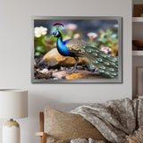 Photography Portrait Of Blue Peacock - Peacock Framed Canvas Art