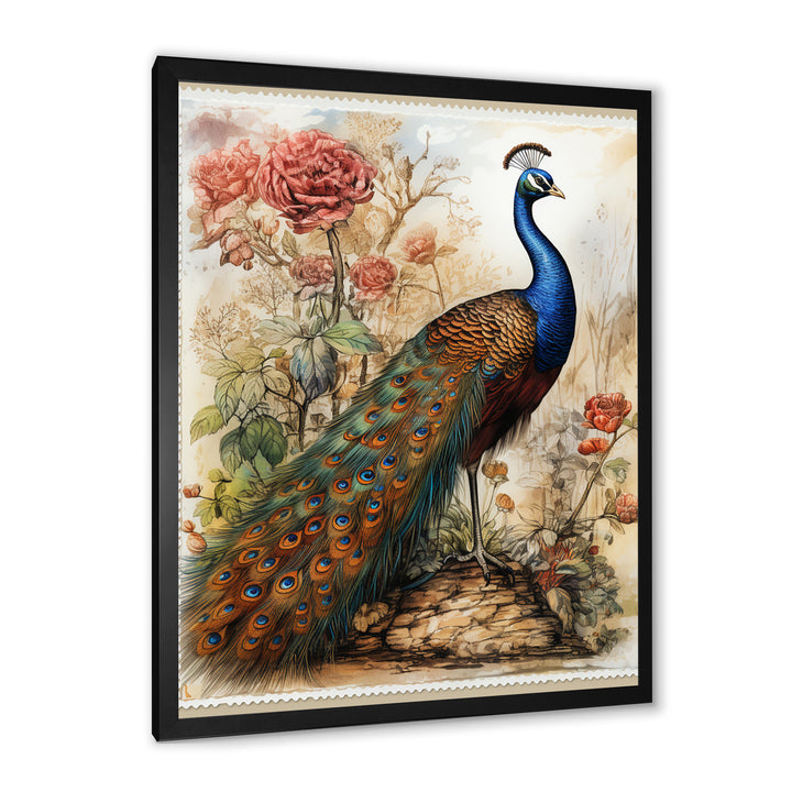 Vintage Illustration Of Glorious Peacock - Peacock Large Canvas Wall Art