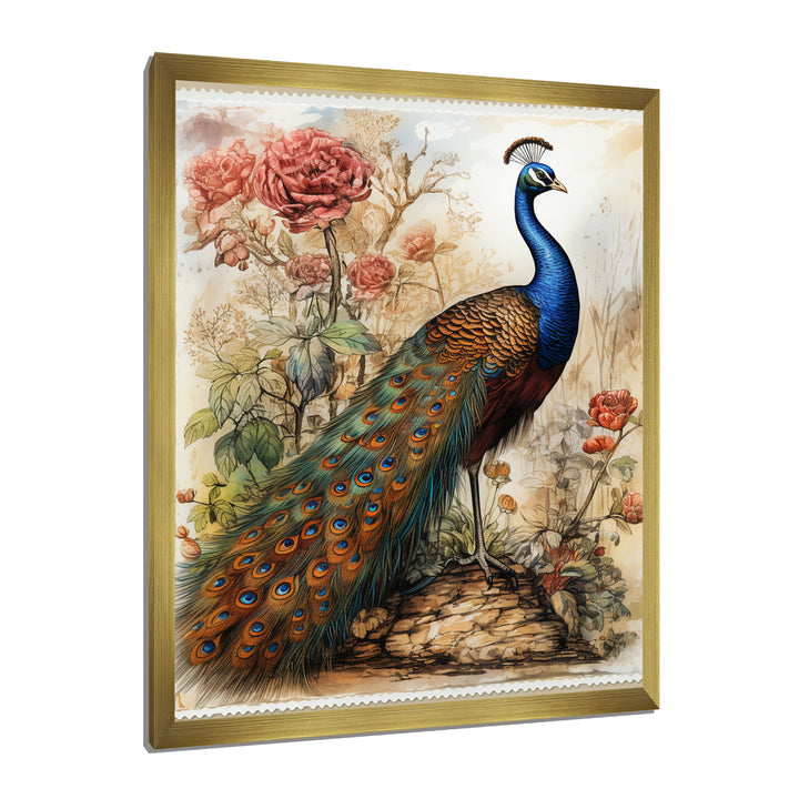 Vintage Illustration Of Glorious Peacock - Peacock Large Canvas Wall Art
