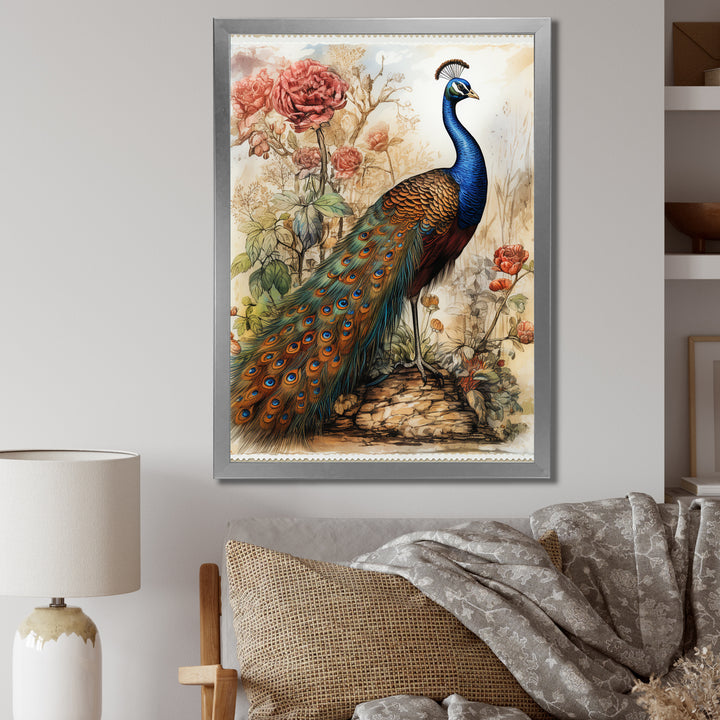 Vintage Illustration Of Glorious Peacock - Peacock Large Canvas Wall Art