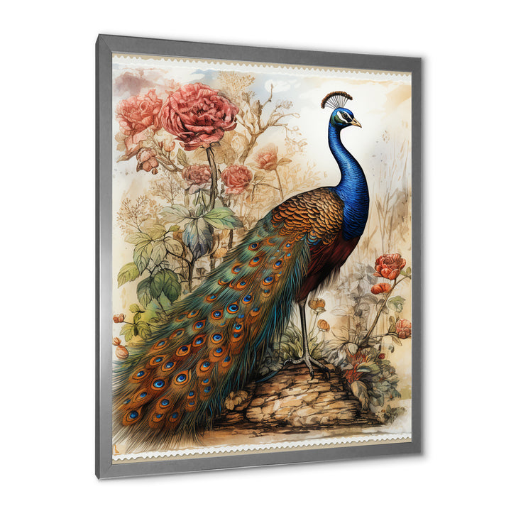 Vintage Illustration Of Glorious Peacock - Peacock Large Canvas Wall Art