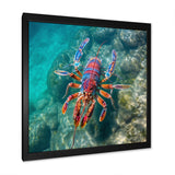 Purple Majestic Lobster Turquoise Tropical Water - Marine Animals Wall Art Prints