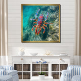 Purple Majestic Lobster Turquoise Tropical Water - Marine Animals Wall Art Prints
