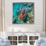 Purple Majestic Lobster Turquoise Tropical Water - Marine Animals Wall Art Prints